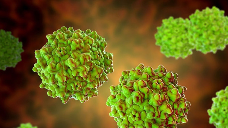 New Method Could Improve Manufacturing of Gene-therapy Drugs