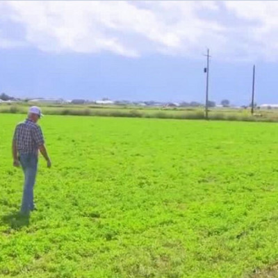 Nanotech Business in Utah Helps Farmers Fertilize More Effectively