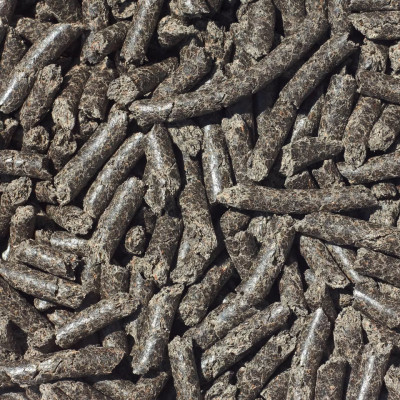 NTU Singapore and ETH Zurich Scientists Decontaminate Heavy Metal Water Using Protein from Plant Waste