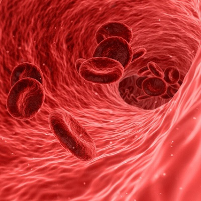 Nanoparticle System Captures Heart-Disease Biomarker from Blood for In-Depth Analysis