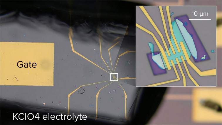 Transistor Reshapes Electronic Properties of a 2D Material