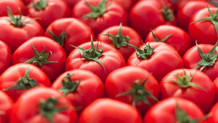 Why Are Ripe Tomatoes So Red? The Distorted Reality of Carotenoid-based Nanoparticles