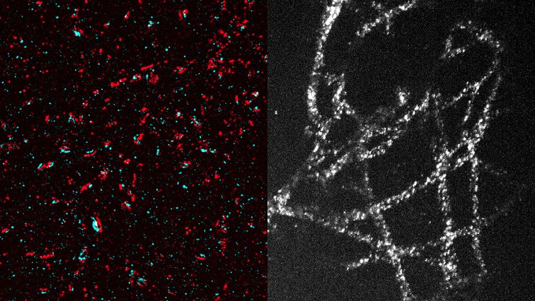 A New Method Makes High-resolution Imaging More Accessible