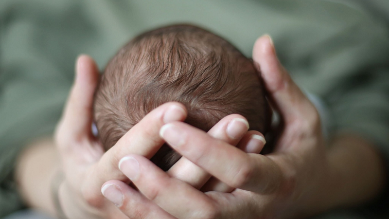 Iowa Team Advances Gene Treatment to Prevent Premature Skull Fusion in Newborns