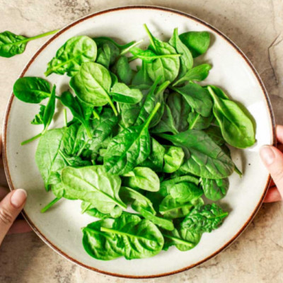 Spinach: Good for Popeye and the Planet