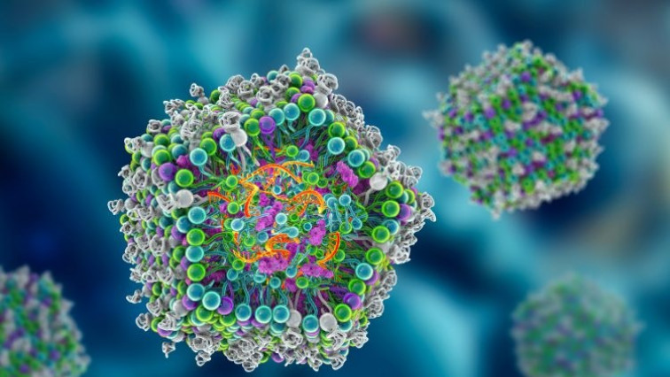 Delivering Genome Editing Components with Lipid Nanoparticles to Repair the Building Blocks of Muscles