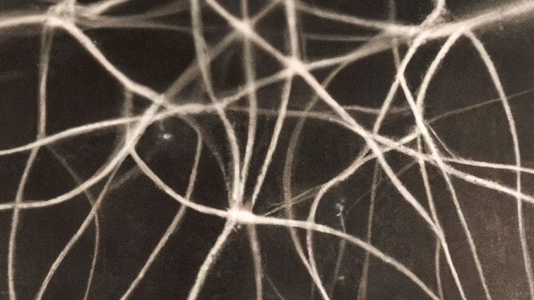 Networks of Silver Nanowires Seem to Learn and Remember, Much Like Our Brains