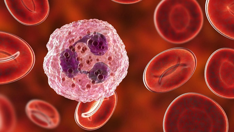 Nanoparticles in Medicine - Microbots to Blood Clots