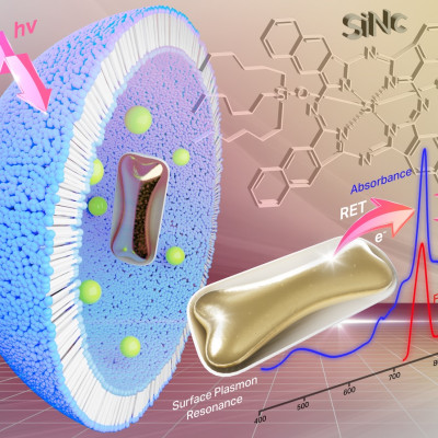 New Nanoparticles Enable Melanoma Tumors to Be Removed with Low-power Laser Light