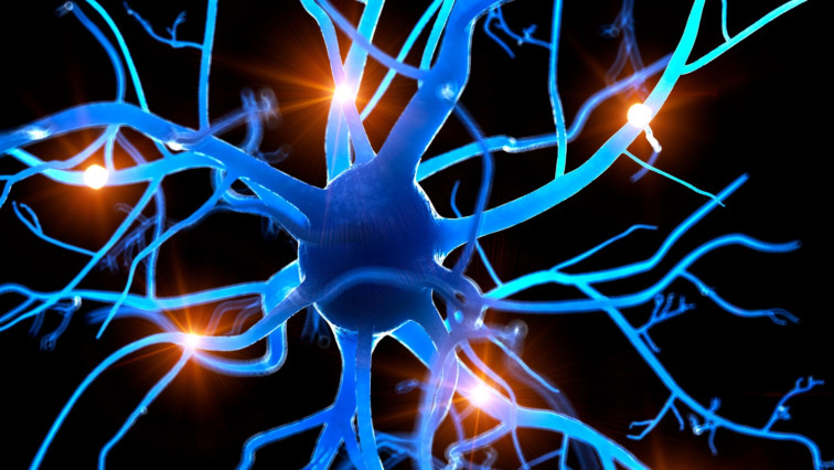 New Crystallization and Microgel Technology Advances Biohybrid Brain Research