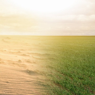 Nanoclay: The Liquid Turning Desert to Farmland