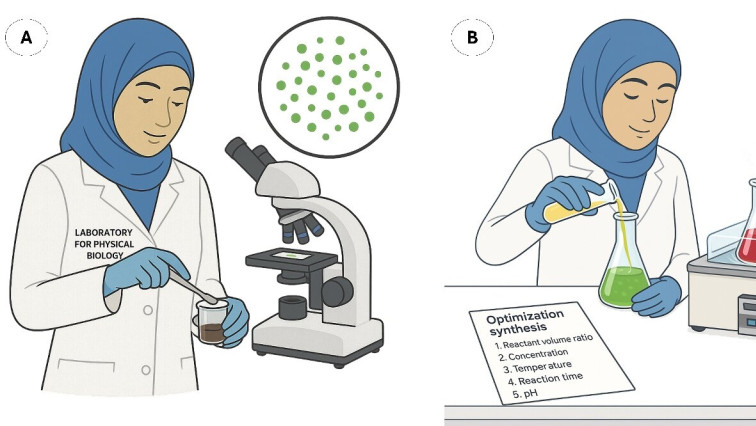 Harnessing Algae for A Greener Way to Create Functional Gold Nanoparticles