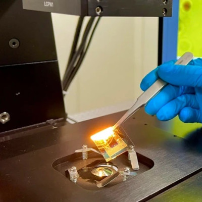 A Platform of Gold Reveals the Forces of Nature’s Invisible Glue