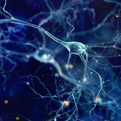 Speaking with Neurons: Nanostructured Neural Electrodes