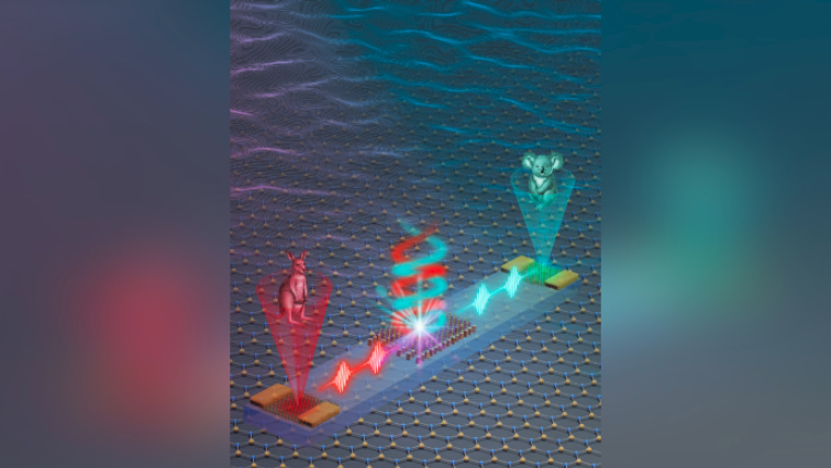 Monash Scientists Create Tiny On-chip Circuit That Could Power Next-Generation Quantum and AI Technologies