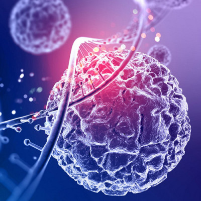 Immunotherapy: Antibody Kit to Fight Tumors