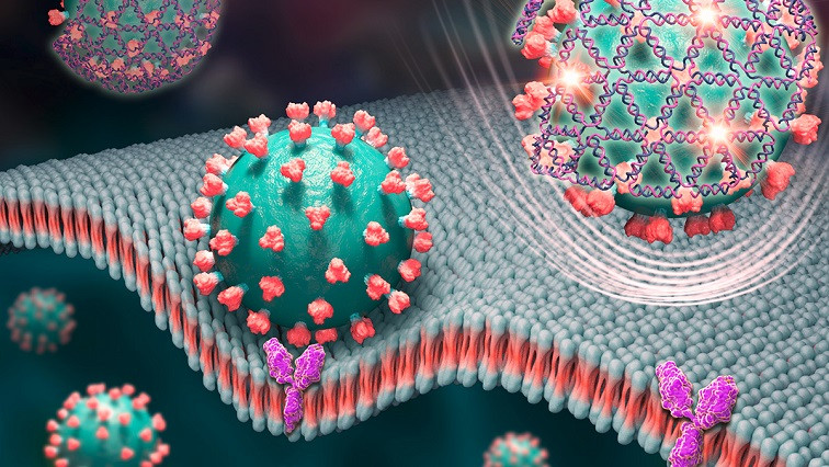 DNA Nets Capture COVID-19 Virus in Low-cost Rapid-testing Platform