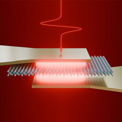 Terahertz Light Controls Atomically Thin Semiconductors