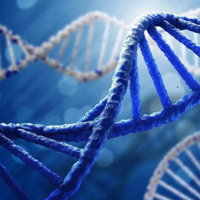 RNA Institute Researchers Advance DNA Nanostructure Stability
