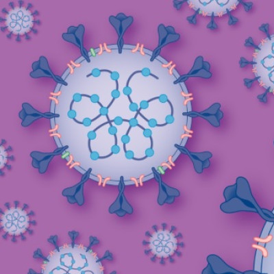 What Vibrating Molecules Might Reveal about Cell Biology