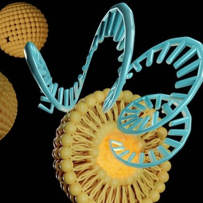 Penn’s Siloxane-enhanced Nanoparticles Chart a New Path in Precision mRNA Medicine