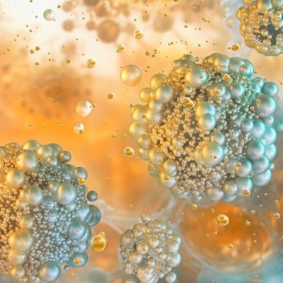 Platelet-inspired Nanoparticles Could Improve Treatment of Inflammatory Diseases