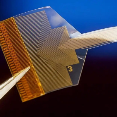 Advancing Toward Long-term Stable Graphene Neural Implants