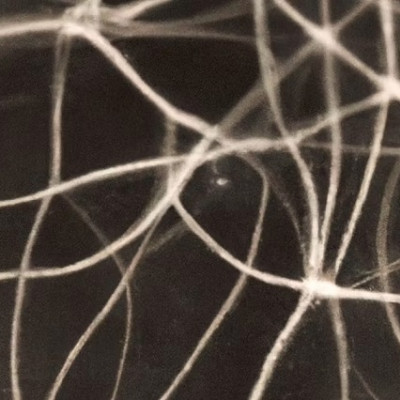 Networks of Silver Nanowires Seem to Learn and Remember, Much Like Our Brains