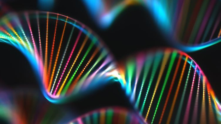 Developing a New Platform for DNA Sequencing