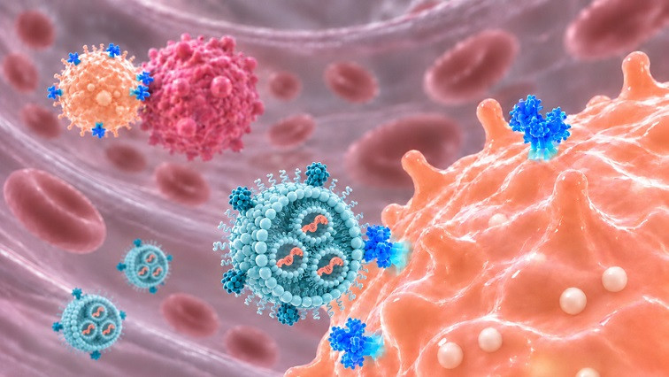 Reprogrammed NK Immune Cells Target Cancer and Autoimmune Disorders
