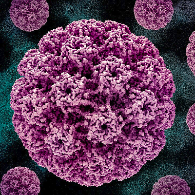 Therapeutic Vaccination Against HPV-related Tumors: Nanoparticles Make the Difference