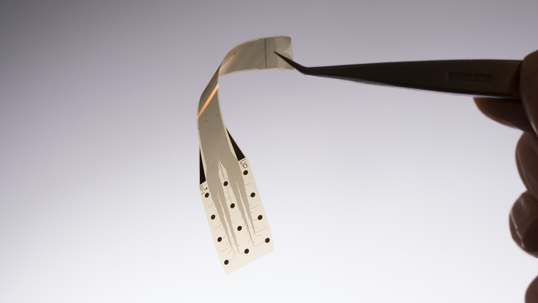 INBRAIN Neuroelectronics Announces Collaboration to Advance Graphene-based Brain-computer Interfaces