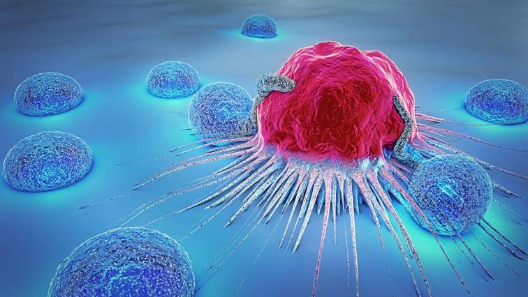 Nanowires Create Elite Warriors to Enhance T Cell Therapy