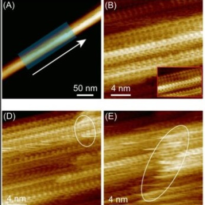 From Molecular Interactions to Material Function: Unraveling Water’s Effect on Chitin Nanocrystals