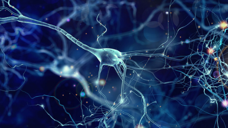 Speaking with Neurons: Nanostructured Neural Electrodes