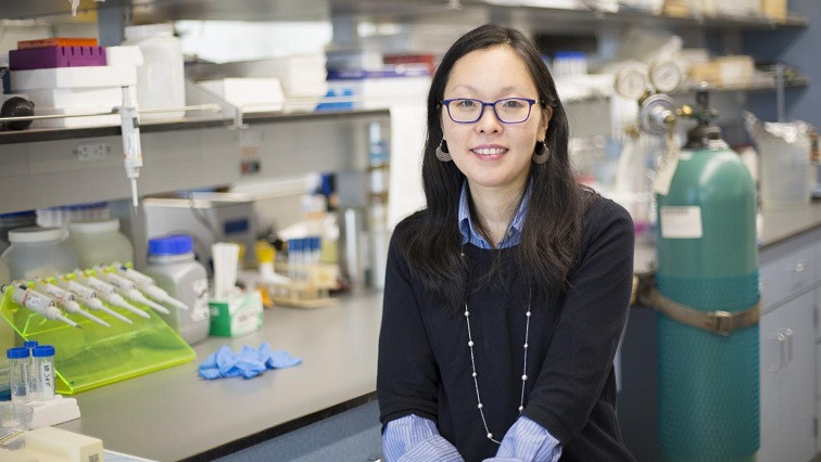 NYU Tandon Researchers Develop Self-assembling, Self-illuminating Therapeutic Proteins