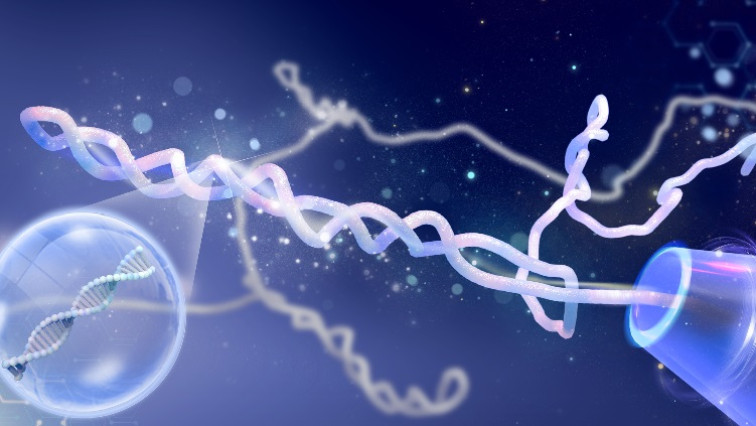 New Research Uncovers Hidden DNA Structures During Nanopore Sensing: Plectonemes Take Centre Stage