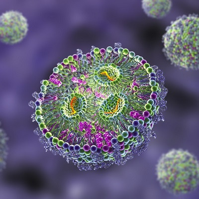 Lipid Nanoparticle Market Set to Surge, Reaching $1.54 Billion by 2030