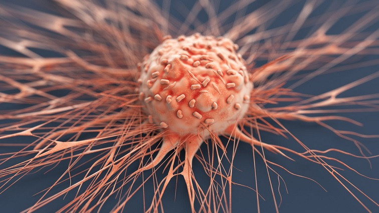 Chimeric Nanomicelles Show Promise as Alternative Treatment for Solid Tumors