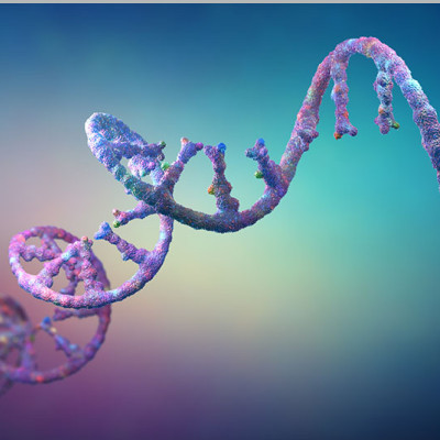 Microalgal Vesicles Deliver Therapeutics to Protected Tissues