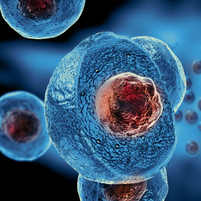 Researchers Overcome Stem Cell Delivery Barrier, Paving the Way for Regenerative Medicine
