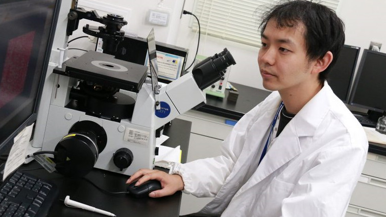 Researchers Realize Orientation Control of cMOF Nanofilms