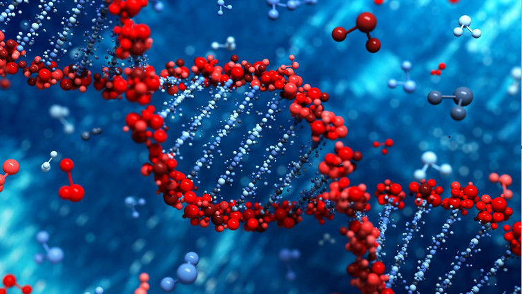 In DNA, Scientists Find Solution to Engineering Transformative Electronics