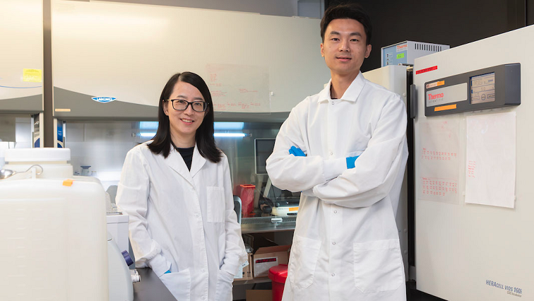 Researchers Use Nanotubes to Improve Blood Flow in Bioengineered Itssues