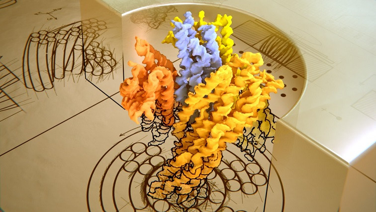 DNA Origami Nanoturbine Sets New Horizon for Nanomotors