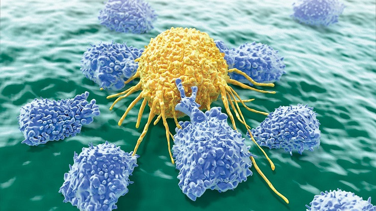 Vanderbilt Nanodrug May Be a Paradigm Shift for Cancer