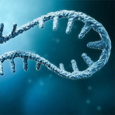 Australian Scientists Develop Method to Optimise Delivery of mRNA to Cells