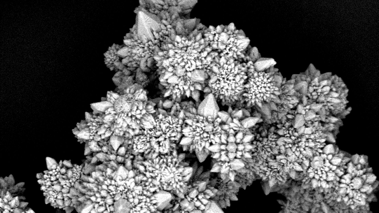 Concordia Researchers Develop Light-powered Micromotors That Move through Air