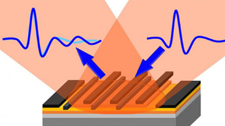 Paving the Way for Tunable Graphene Plasmonic THz Amplifiers