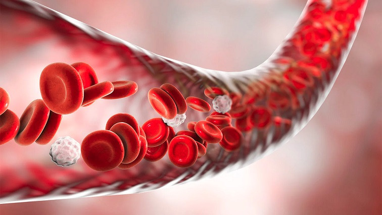 Simulating Blood Flow Dynamics for Improved Nanoparticle Drug Delivery